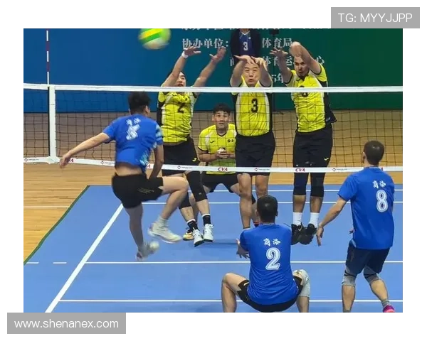 杭州排球队的默契配合与战术探讨聚焦排球的团队协作之道